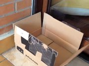 Cat In the Box