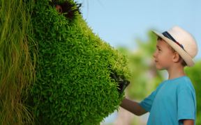 EXPO 2016 Antalya - Grass Sculptures