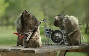 France 3 “Les Marmottes”: Rock