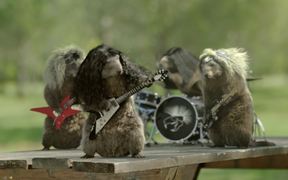 France 3 “Les Marmottes”: Rock