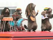 France 3 “Les Marmottes”: Reggae