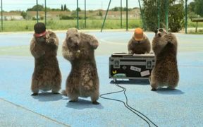 France 3 “Les Marmottes” : Hip Hop - Commercials - VIDEOTIME.COM