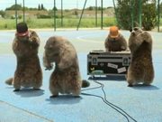 France 3 “Les Marmottes” : Hip Hop