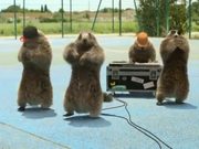 France 3 “Les Marmottes” : Hip Hop