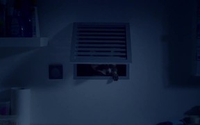 Raccoon Dance Party - Commercials - VIDEOTIME.COM