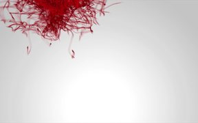 Blood Sports Motion Graphic - Weird - VIDEOTIME.COM