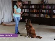 How To Teach A Dog To Lay Down - Step 3