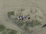 Drone: Sandbanks Droning Practice