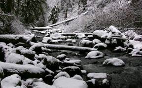 Winter Prayer - Movie trailer - VIDEOTIME.COM
