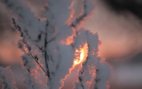 Into the Sun - Movie trailer - VIDEOTIME.COM