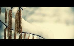 Back to the winter - Canon 7D - Movie trailer - VIDEOTIME.COM