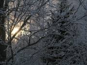 Winter 2 by Elmer Laahne