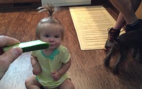 How to Get Children to Enjoy Eating Vegetables - Kids - VIDEOTIME.COM