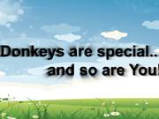 Donkeys Are Special and So Are You!