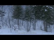 DJI - Phantom 4 - Winter Wilderness
