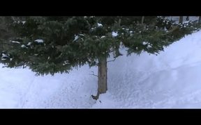 DJI - Phantom 4 - Winter Wilderness - Commercials - VIDEOTIME.COM