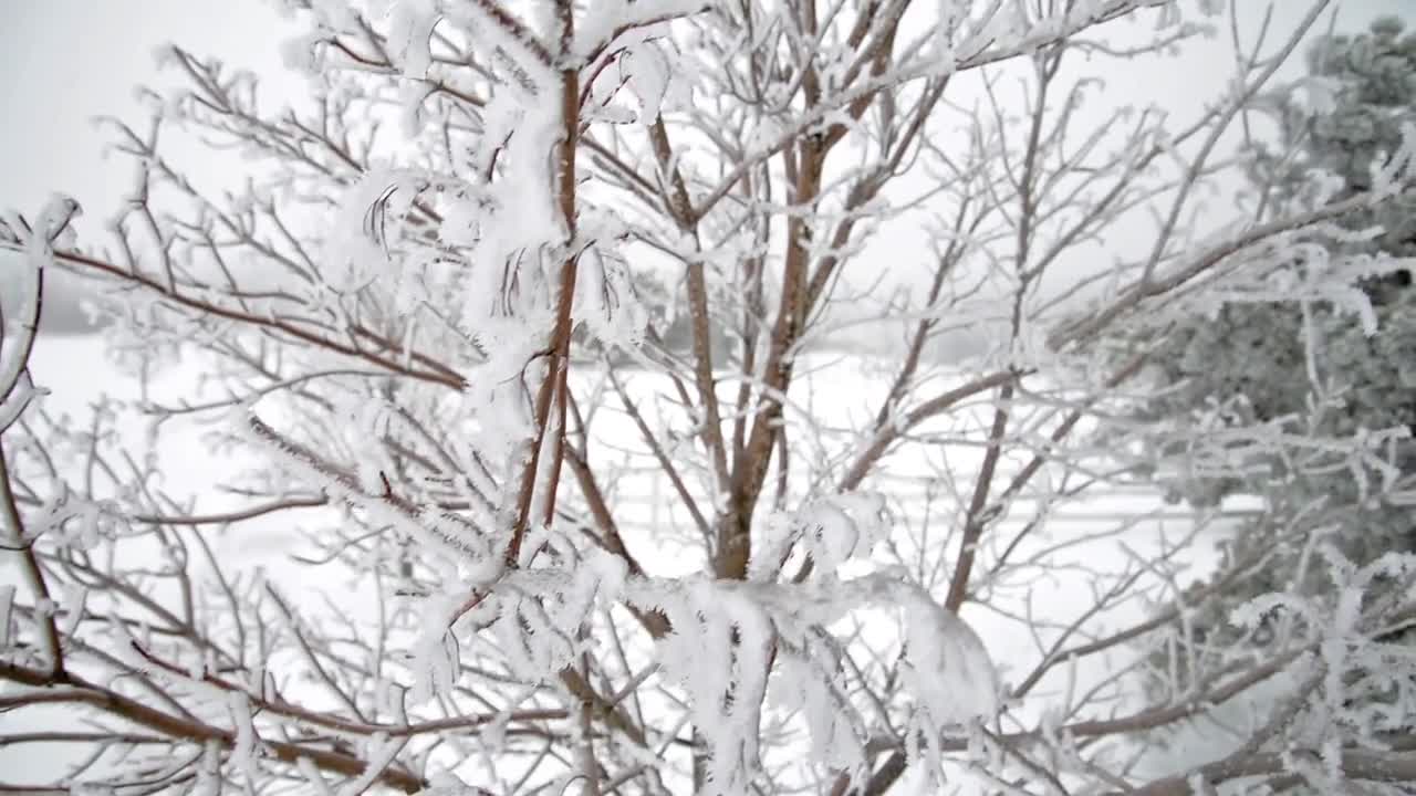 Stable Gimbal Cinema - Winter Ice Storm