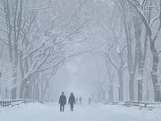 Winter 2014 in NYC & NJ (Part 2)