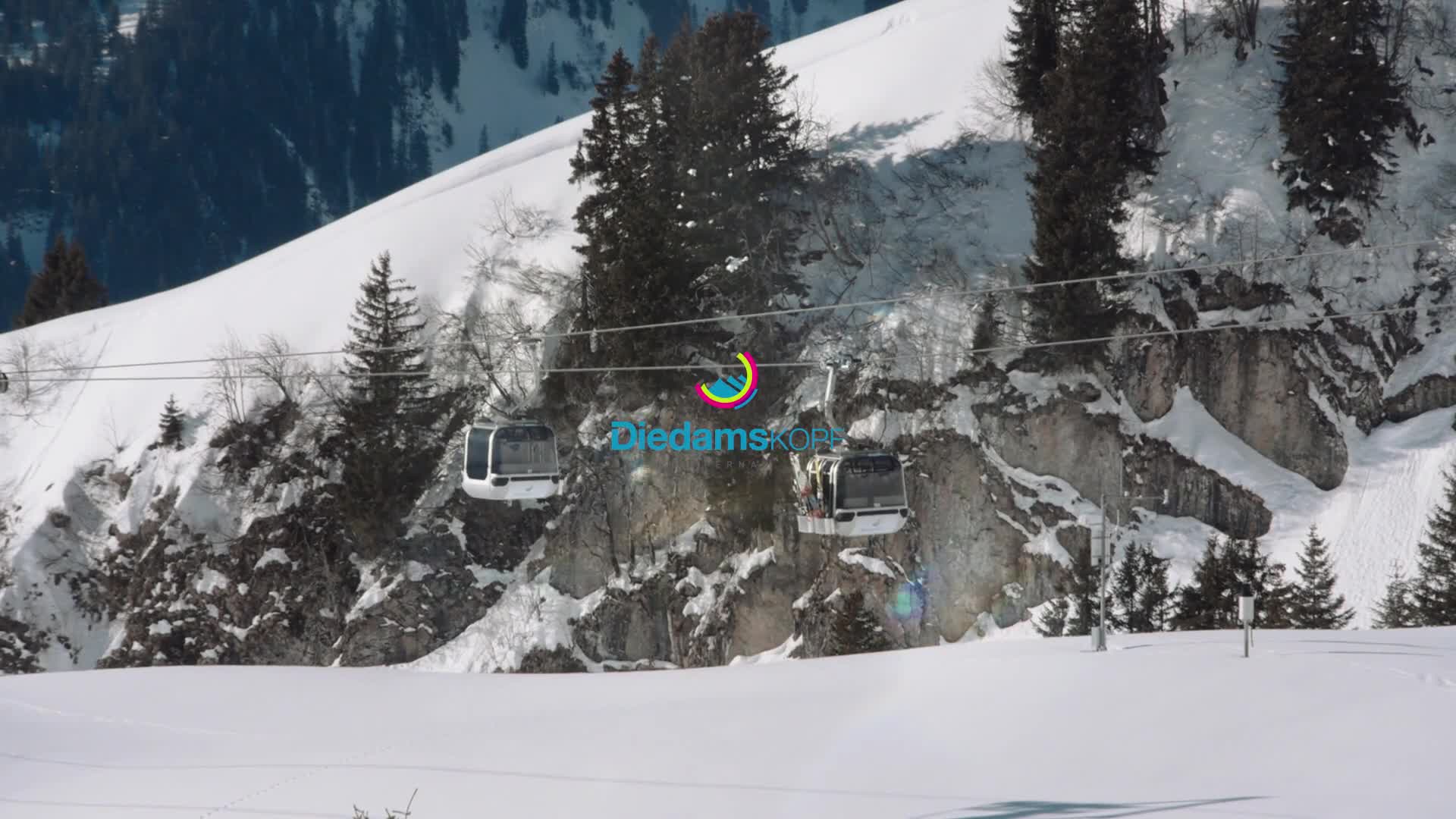 Pleasure Diedamspark - Ultimate Snowboard