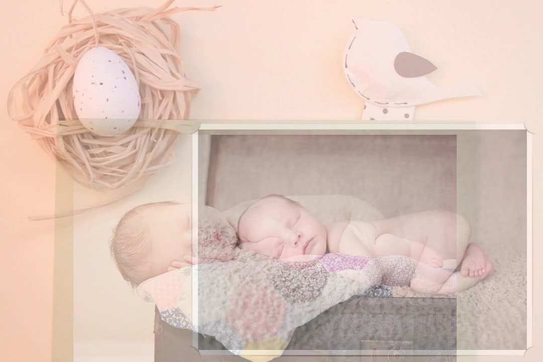 The Album People - Newborn & Baby Slideshow