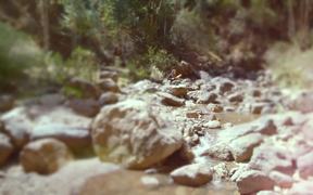 Improvisation By The River In Pisac, Peru - Music - VIDEOTIME.COM