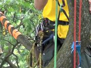 Asia Pacific Tree Climbing Championships