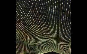 The Osborne Family Spectacle of Dancing Lights - Fun - VIDEOTIME.COM