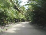 Video Postcard From Cocos