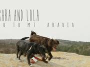 Sara and Lola Go to Mt. Arabia