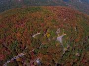 Foliage At Bear Mt 1-Vimeo Compression