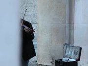 Street Violinist In Salzburg