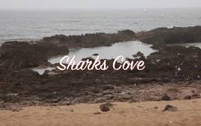 Shark’s Cove: Discovering the Volcanic Island - Fun - VIDEOTIME.COM