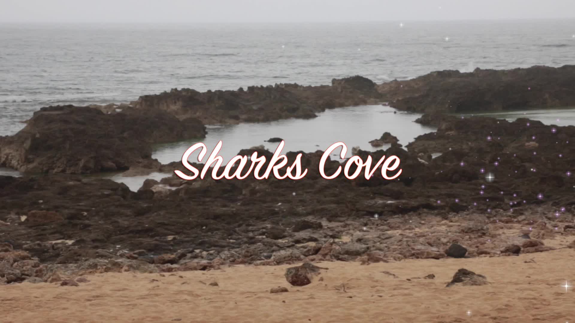 Shark’s Cove: Discovering the Volcanic Island