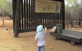 Rangaroos, Logs and Dogs - Animals - VIDEOTIME.COM