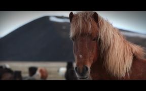 Iceland: An Iceland Venture - Fun - VIDEOTIME.COM