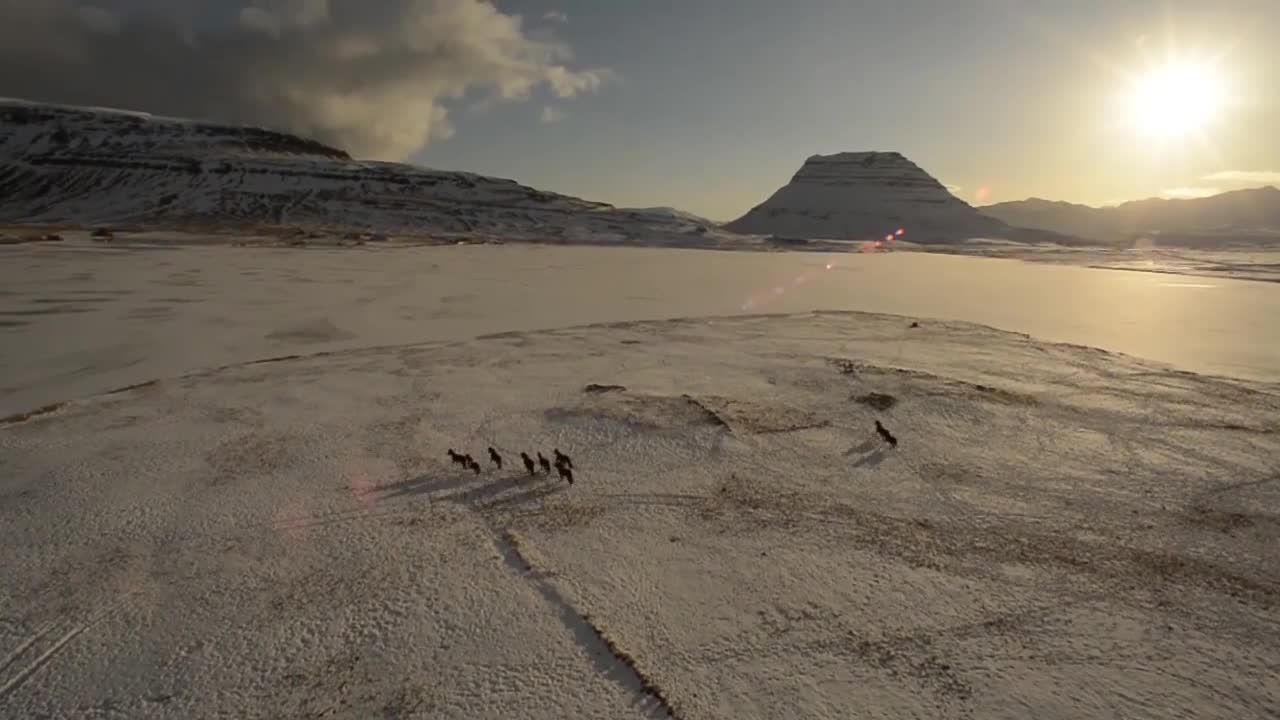 Photodrones Iceland