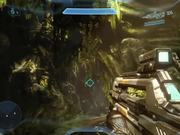8 Amazing Facts About Halo