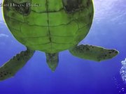 Extreme Underwater Test