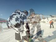 The Skiing Cow