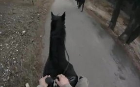Horse Riding - Animals - VIDEOTIME.COM