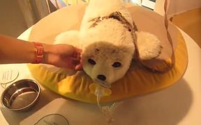 Little Robot Seal Plush