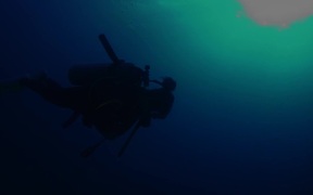 Thresher Sharks at Monad Shoal - Animals - VIDEOTIME.COM
