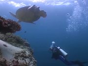 Sipadan Underwater World