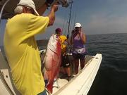 Gulf of Mexico, Recreational Fishing