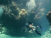 Diving the Red Sea 2