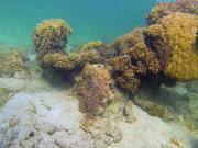 Underwater Nouvelle-Caledonie