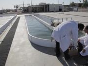 From wastewater to renewable energy