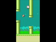 FlappyBird Video Game Online