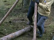 How to move heavylogs without machinery