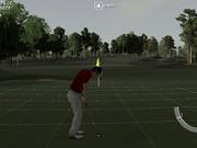 2015 Year of Perfect Golf